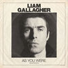 兄弟愛　－Liam Gallager