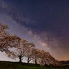 4月の天の川は、桜道に寄り添って