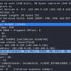PHPで自作IPパケットを送受信したい場合