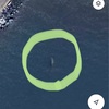 みぃ〜つけた‼️東京湾に日本アシカ？？Googleマップ航空写真