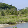 横田渡常夜燈 お昼間編