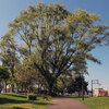 35d 北郷公園と北郷緑道