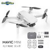 初めてドローン買うならMAVIC MINI 1択！どこなら飛ばせるの？【航空法/条例/小型無人機等飛行禁止法】