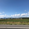 レースレポ