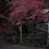 朝、大雄山最乗寺を歩く