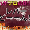 ★龍の巣【人気の新鮮レバー（捌き方動画付き）】★