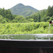 【小松市】滝ヶ原の自然と一体化する地産地消の貸切サウナ「TAKIGAHARA SAUNA（滝ヶ原サウナ）」で、心も体も整う贅沢時間【NEW OPEN】