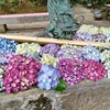 夫と別室で寝た弊害が発生