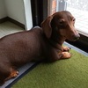リメイク「心をのばす子育て」