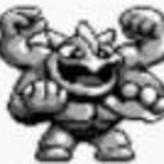 ポケモンsm スカーフ地割れカイリキー シングル かにみそ