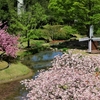 花追い旅：とっとり花回廊の花たち ⑭（鳥取県西伯郡南部町）