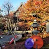 【京都】【御朱印】東福寺塔頭、『勝林寺』に行ってきました。 京都観光 京都旅行 社寺めぐり 女子旅 主婦ブログ 