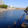 日在浦海浜公園の池（千葉県いすみ）