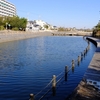 日在浦海浜公園の池（千葉県いすみ）