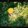 Photo No.1966 / 夏季休暇4日目