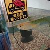 砂利を敷いたら白濁りが消えた水槽