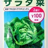 「サラダ菜」の水耕栽培に再挑戦。刺すような日光を避けるために木陰で育てています