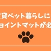 防音ジョイントマットで、犬猫運動会のストレス(飼い主)が激減した話