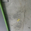 汚いコンクリートの内壁を綺麗に仕立て直し