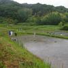 6月13日の活動報告～田植え