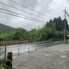 ようやく恵みの雨☂️