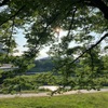 橋の下