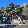 坐禅部第三回活動報告