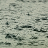 マス釣りは雨の日が最も釣れる？