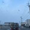 束の間の星空