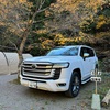 トヨタ　ランドクルーザーの盗難です。