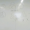 結び目，力学，格子点の数理，多面体（３年ゼミ）