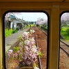 小湊鐡道　里山トロッコ⑤　春全開　高滝駅－里見駅^^