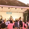 フェス！と最近のイモリ