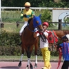 今日は勝ったと思ったが、、、いい競馬をしても３着