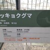 上野動物園のホッキョクグマ