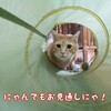 500円の商品券の使い道