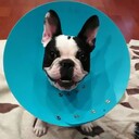 とびだせ！ネットジャンキー(^_^)b