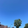 ６月と快晴とメタボリックヘルス