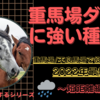 重馬場ダートに強い種牡馬2022最新版～短距離編～血統データで重馬場適性を徹底分析！