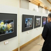 春陽支部第15回写真展