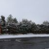 投票日の雪　＆　眼瞼下垂手術