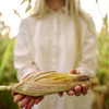 豊富なビタミンを持つトウモロコシを食べれば夏バテ知らず！？