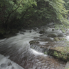 【湯河原】雨の日の激流、川の写真撮影