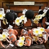 アウラニひとり旅（おみやげ買いました！） / Traveling Alone to Aulani, Disney Resort and Spa (Souvenirs)