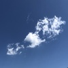 冷凍から揚げはありか無しか