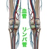 在宅勤務もむくみを招く