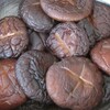  干し椎茸の煮物