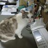 まぁ～手詰まり