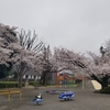 いつもの早朝稲田公園