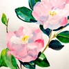   日々絵「椿 3 camellia 3」 23.02.21